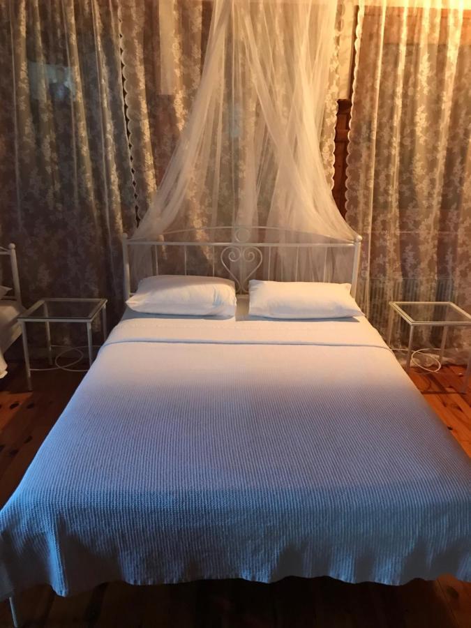 9Mouses Chasiotis Guest House Ampelakia Exterior foto