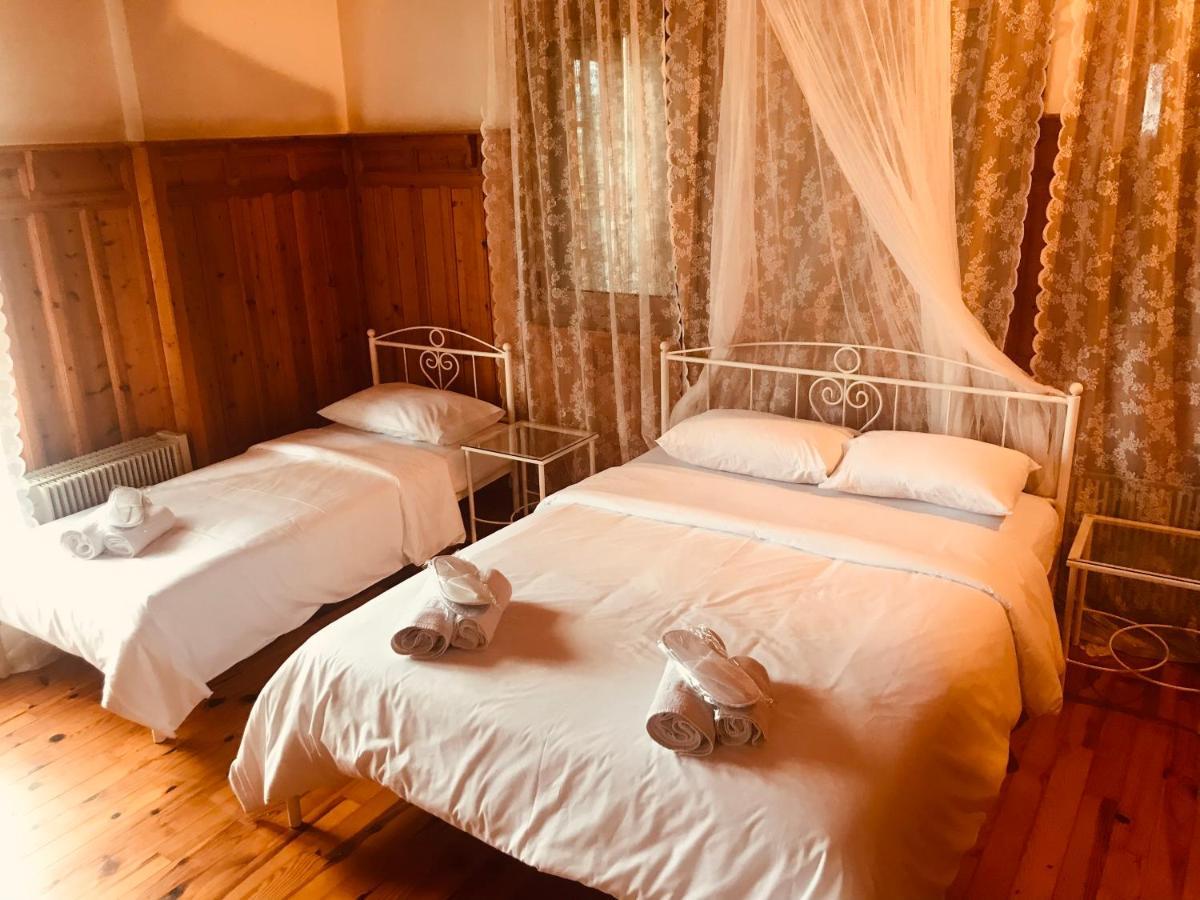 9Mouses Chasiotis Guest House Ampelakia Exterior foto