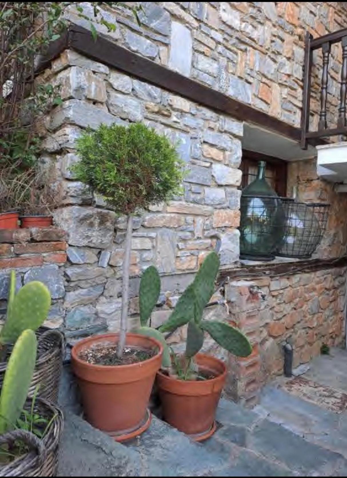 9Mouses Chasiotis Guest House Ampelakia Exterior foto