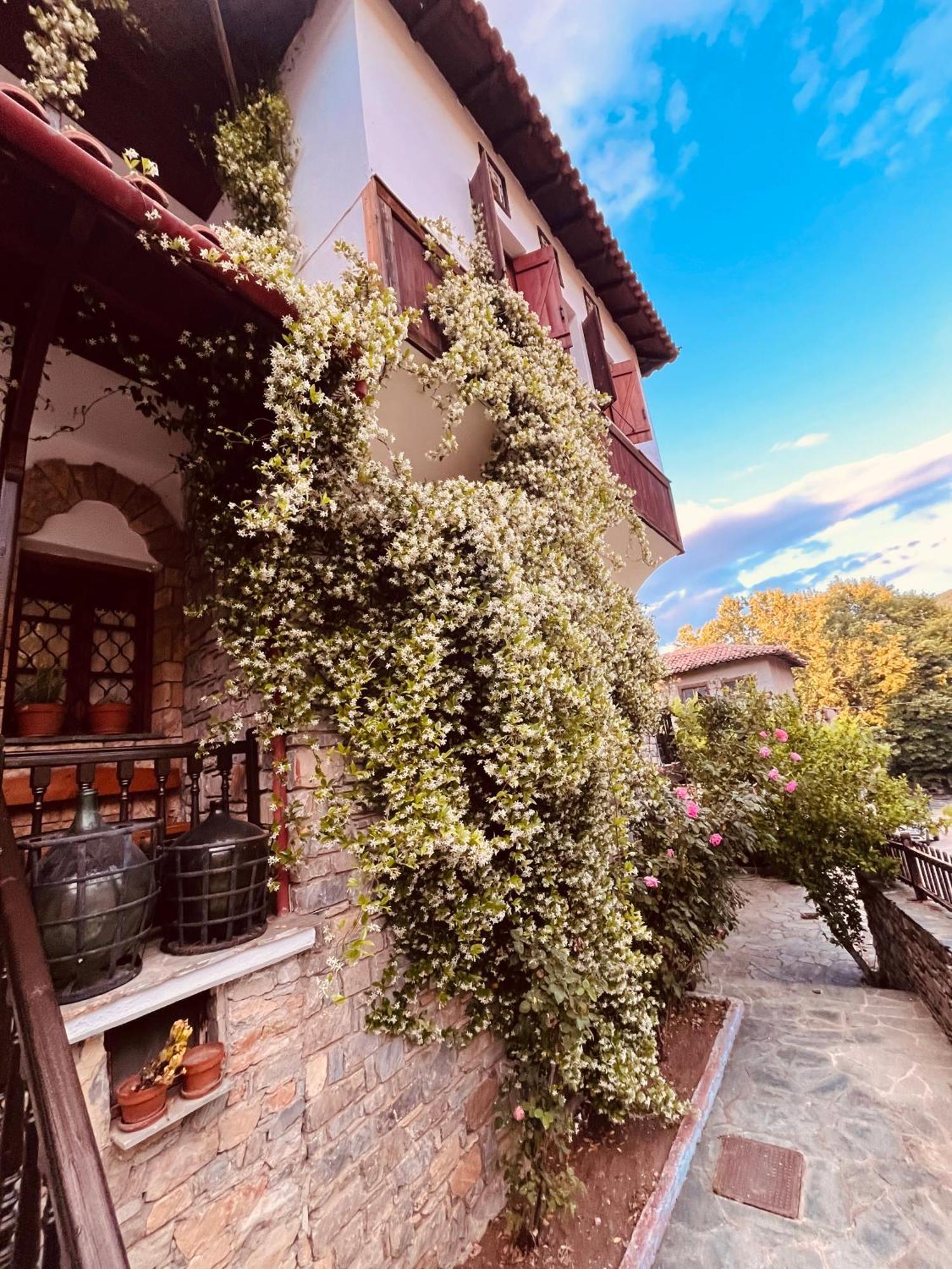9Mouses Chasiotis Guest House Ampelakia Exterior foto